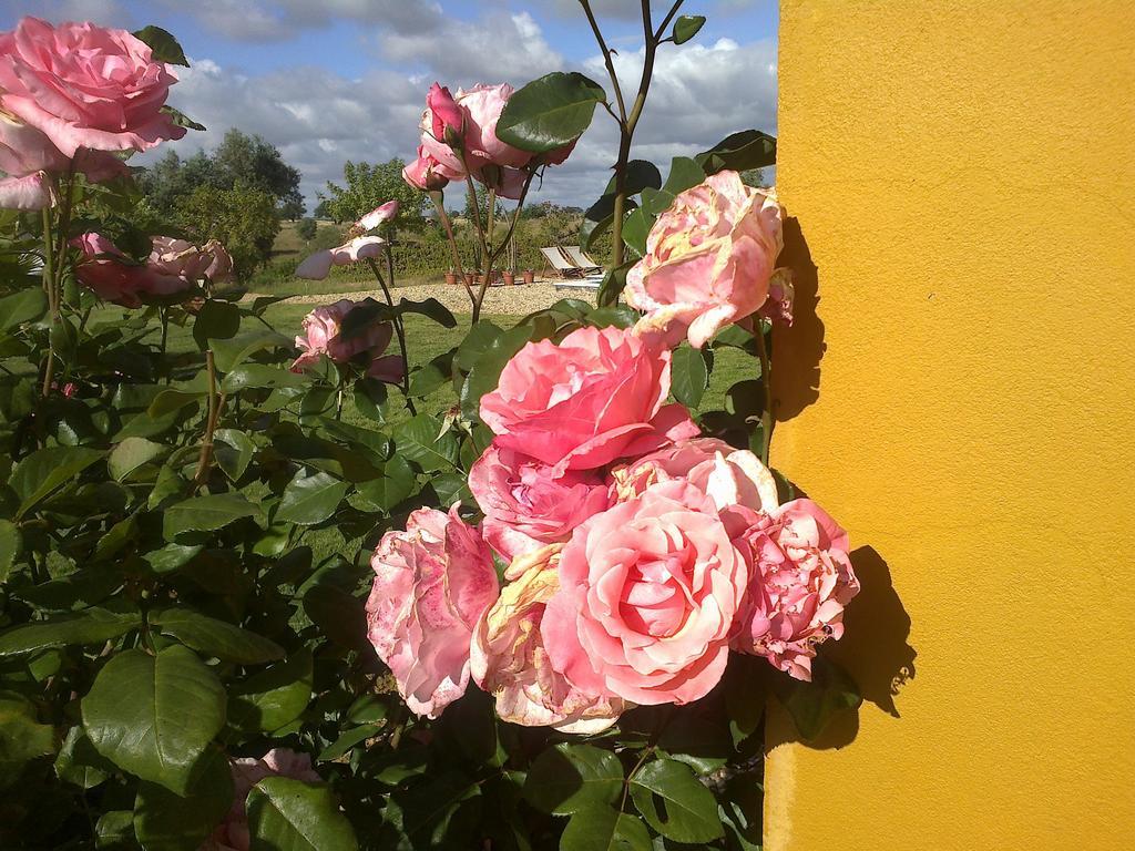 Holiday home O Vale Da Mudanca